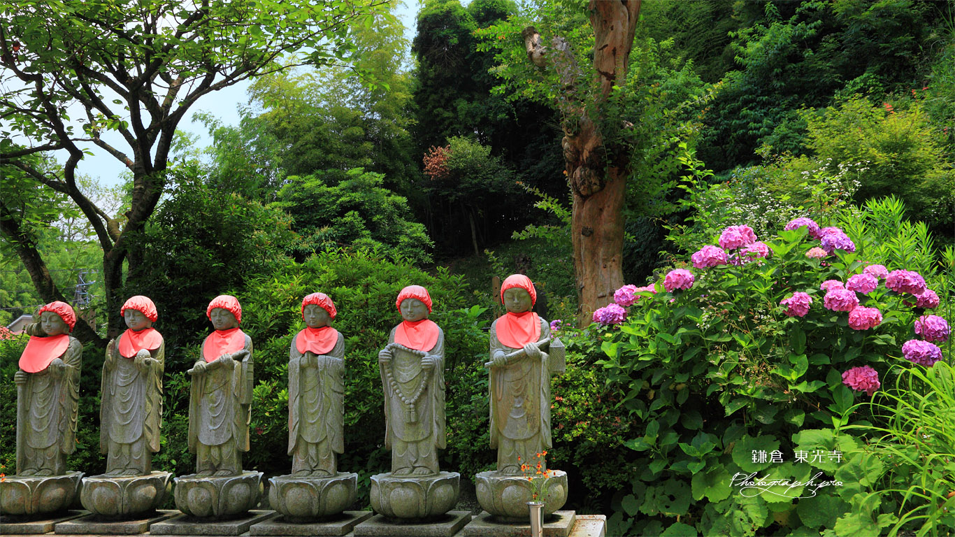 東光寺 アジサイと六地蔵 壁紙