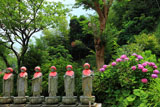 東光寺 あじさいと六地蔵