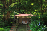 龍口明神社 旧鎮座地の紫陽花