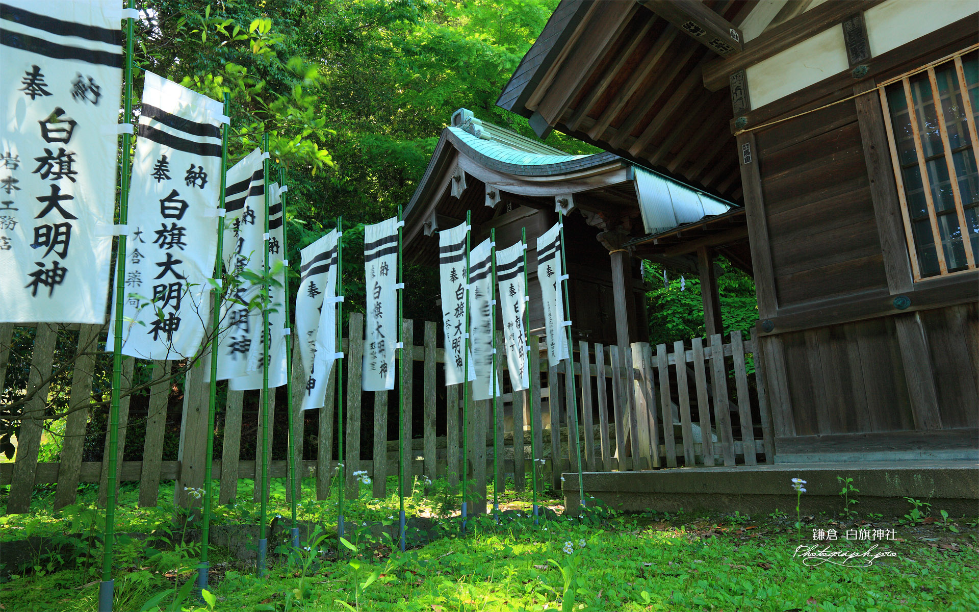 新緑の白旗神社