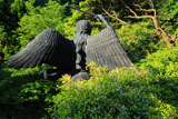 建長寺半僧坊のテイカカズラ