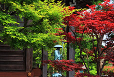 玉泉寺