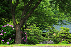 鎌倉大長寺