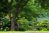 大長寺