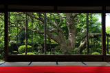 宝泉院