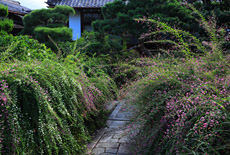 常林寺