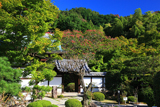 圓光寺 中門とサルスベリ