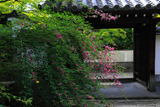 東福寺明暗寺