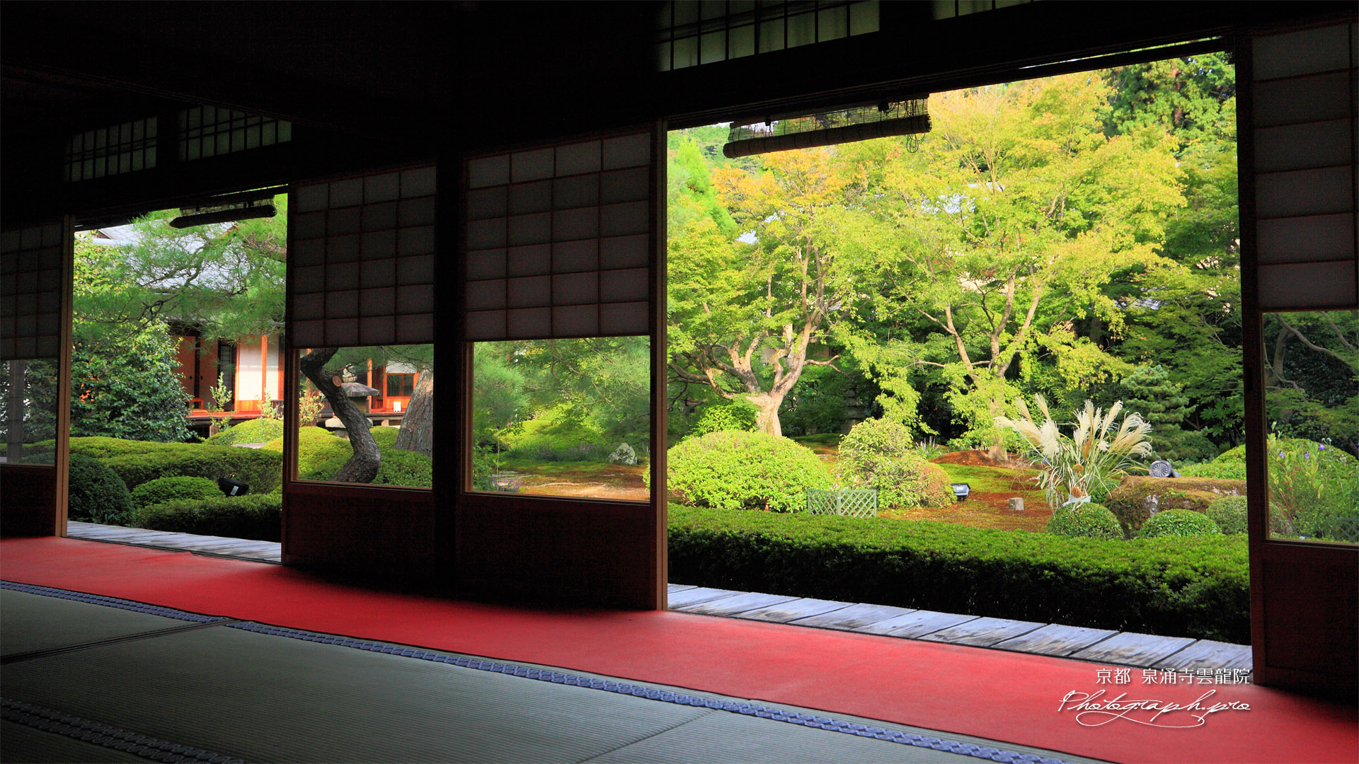 泉涌寺雲龍院 客殿から庭園のススキ