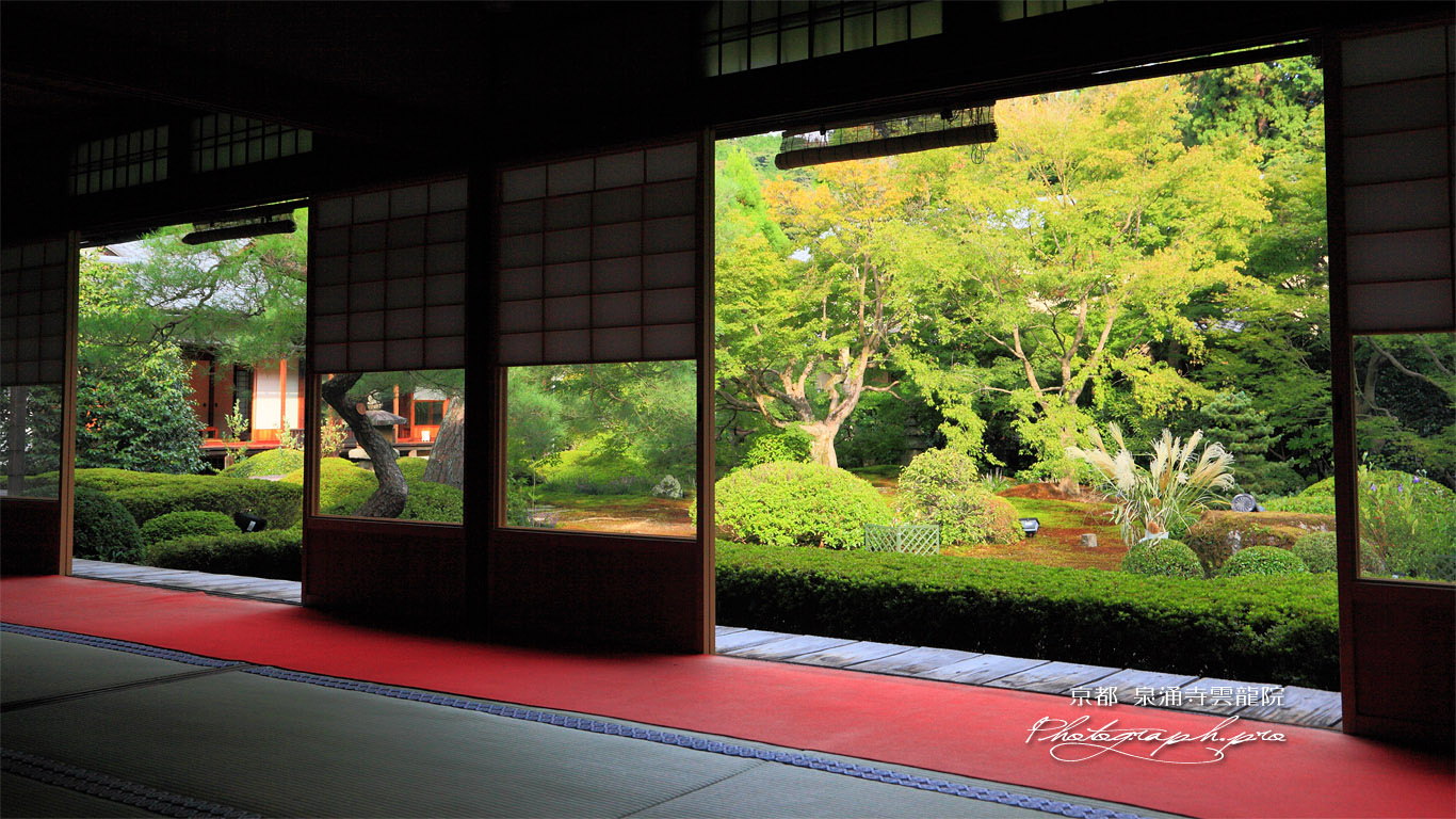 泉涌寺雲龍院 客殿から庭園のススキ 壁紙