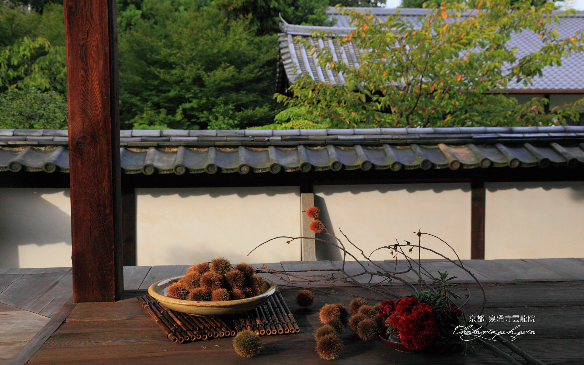 泉涌寺雲龍院 龍華殿のクリ