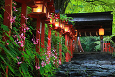 貴船神社