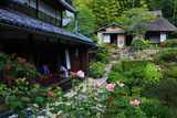 京都等持院 フヨウと書院