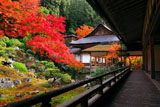 紅葉の常照皇寺怡雲庵