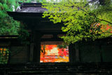 京都 常照皇寺勅額門越しの紅葉