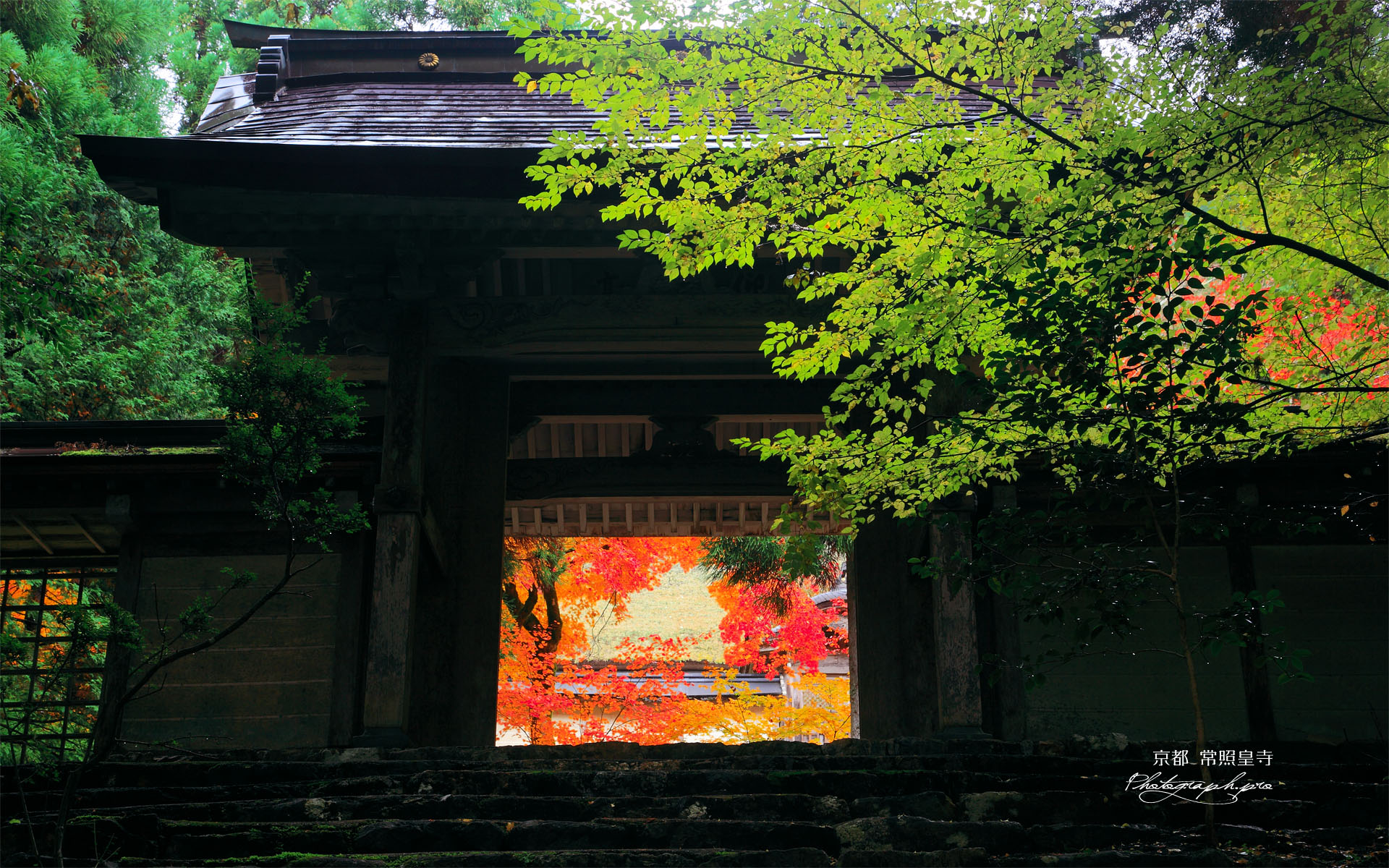京都 常照皇寺勅額門越しの紅葉