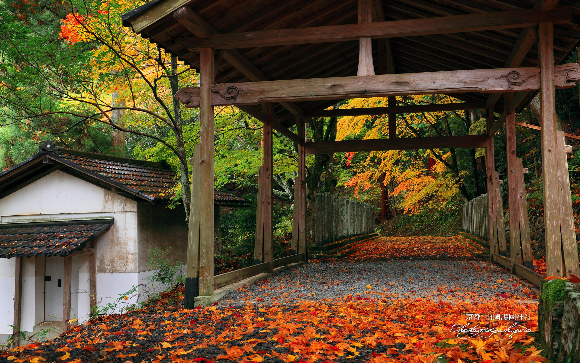 山国護国神社の紅葉