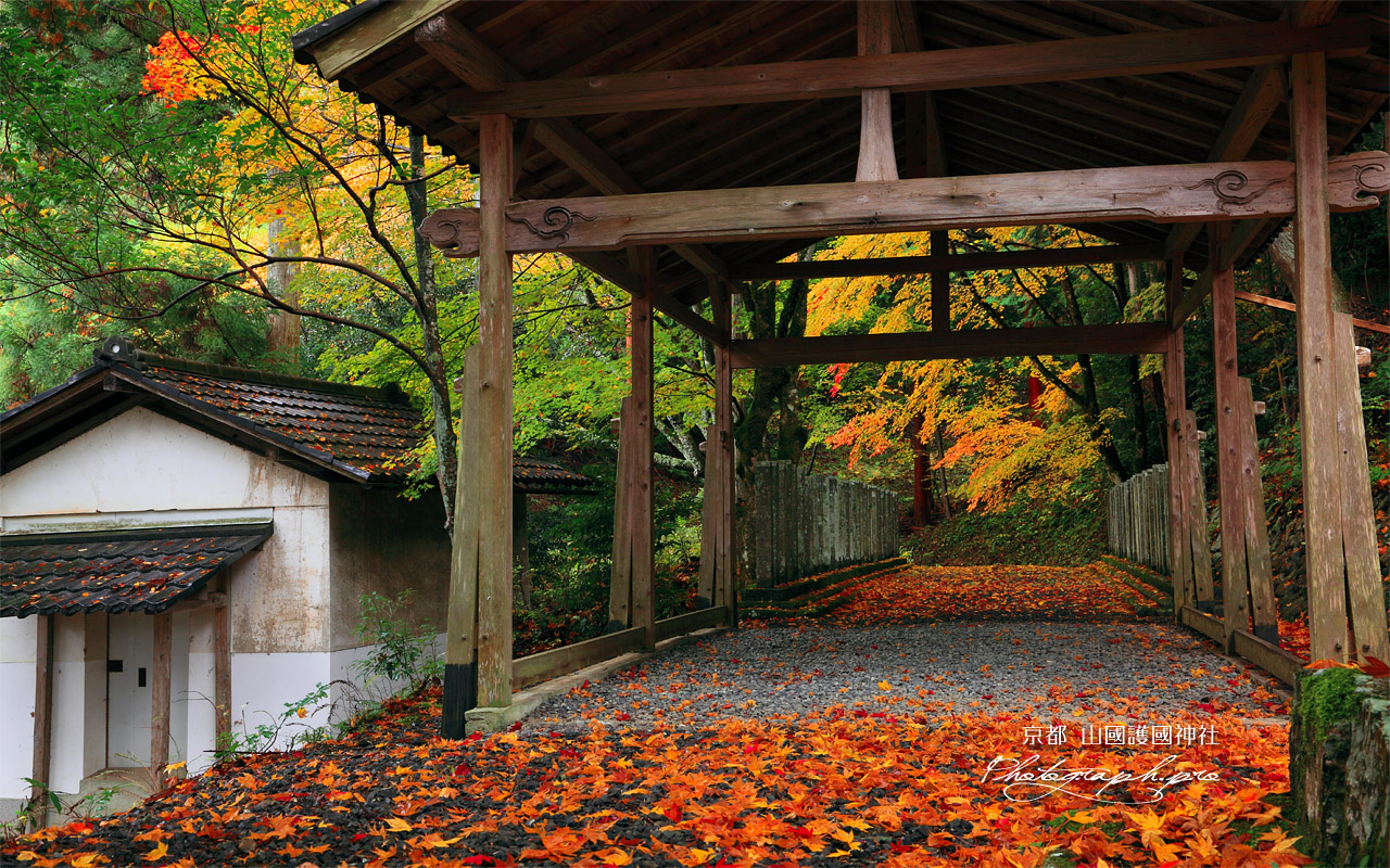 山国護国神社の紅葉 壁紙