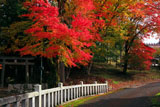 京北 井戸町春日神社の紅葉