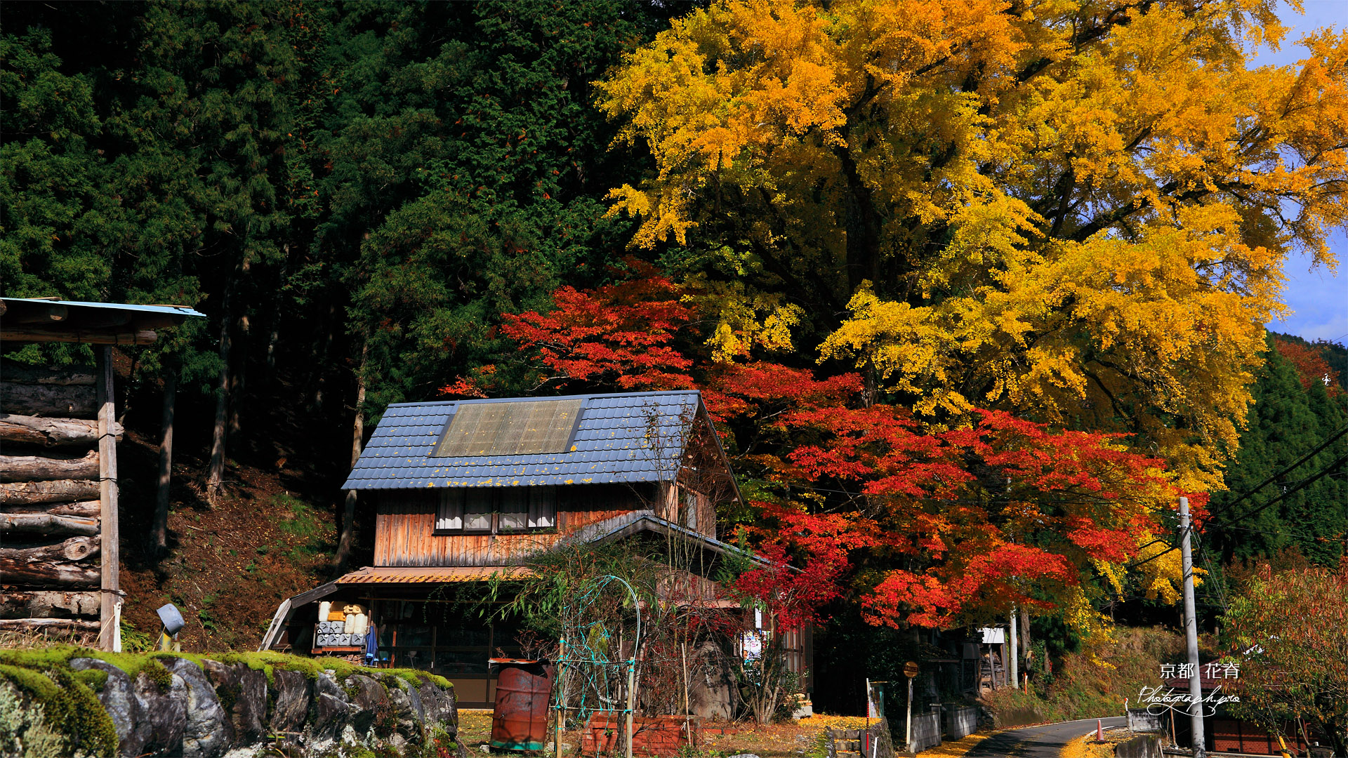 京都花脊 八桝町の紅葉