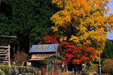 京都花脊 八桝町の紅葉