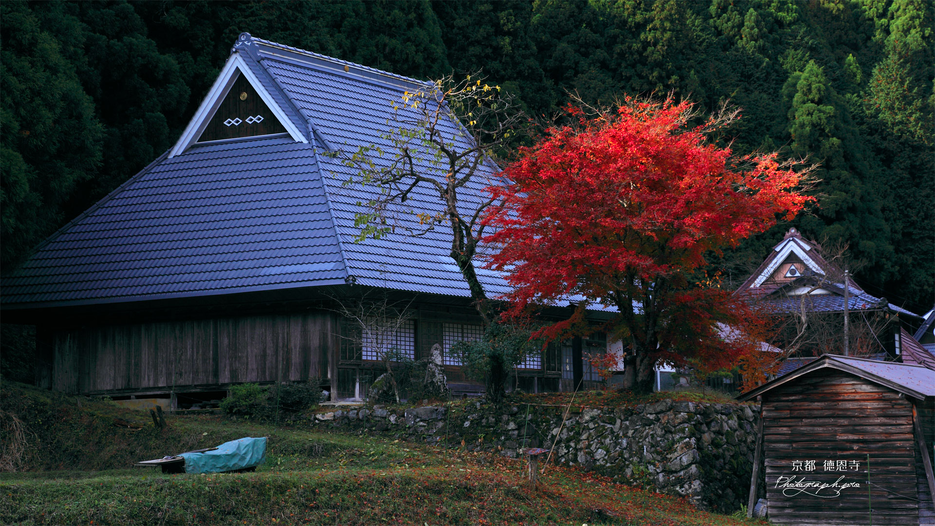 京都久多 徳恩寺の紅葉