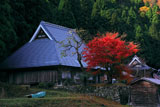 京都久多 徳恩寺の紅葉