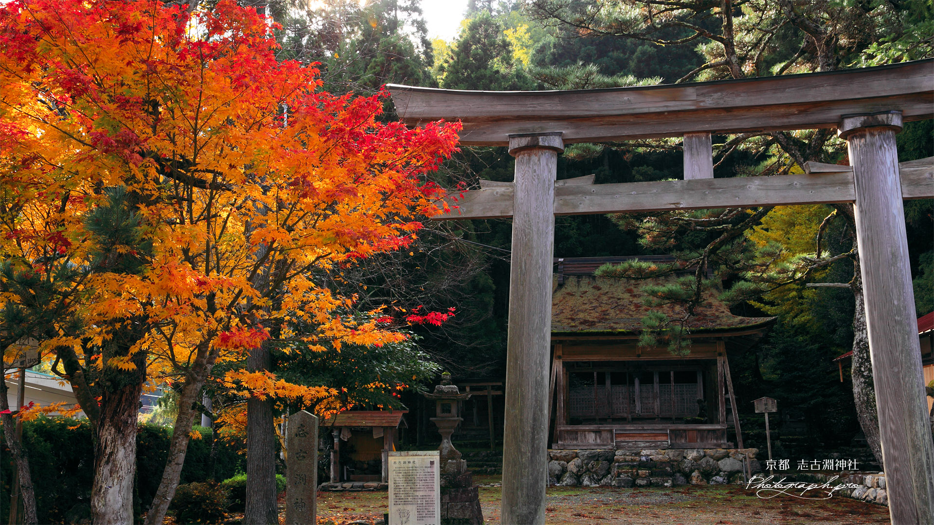 京都久多 志古淵神社の紅葉