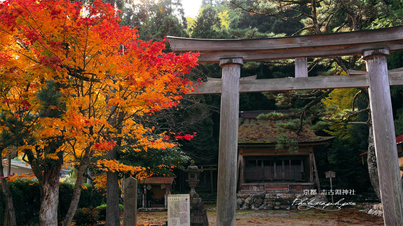 京都久多 志古淵神社の紅葉 壁紙