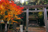 京都久多 志古淵神社の紅葉