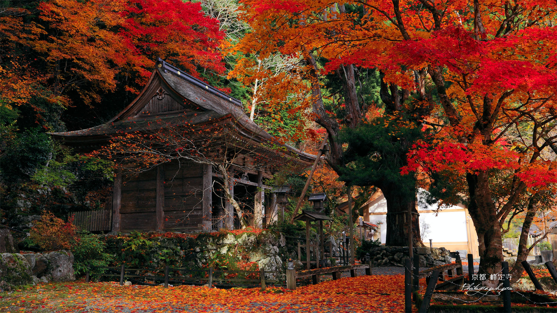 紅葉の峰定寺境内