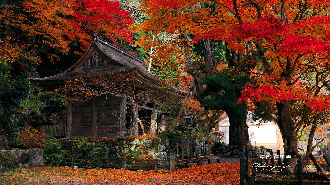 紅葉の峰定寺境内 壁紙