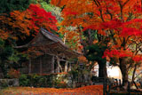 紅葉の峰定寺境内