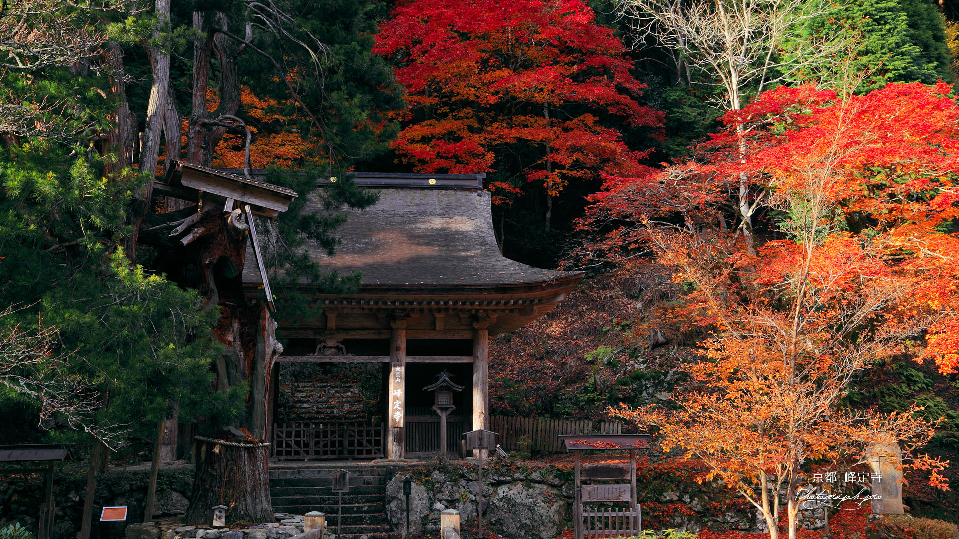 京都 峰定寺仁王門と紅葉