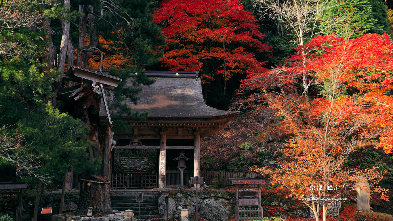 京都 峰定寺仁王門と紅葉 壁紙