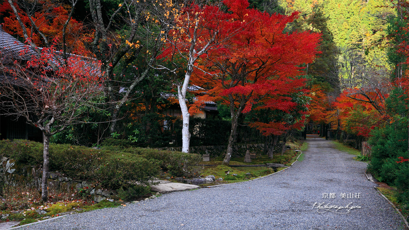 京都花脊 峰定寺参道の紅葉 壁紙