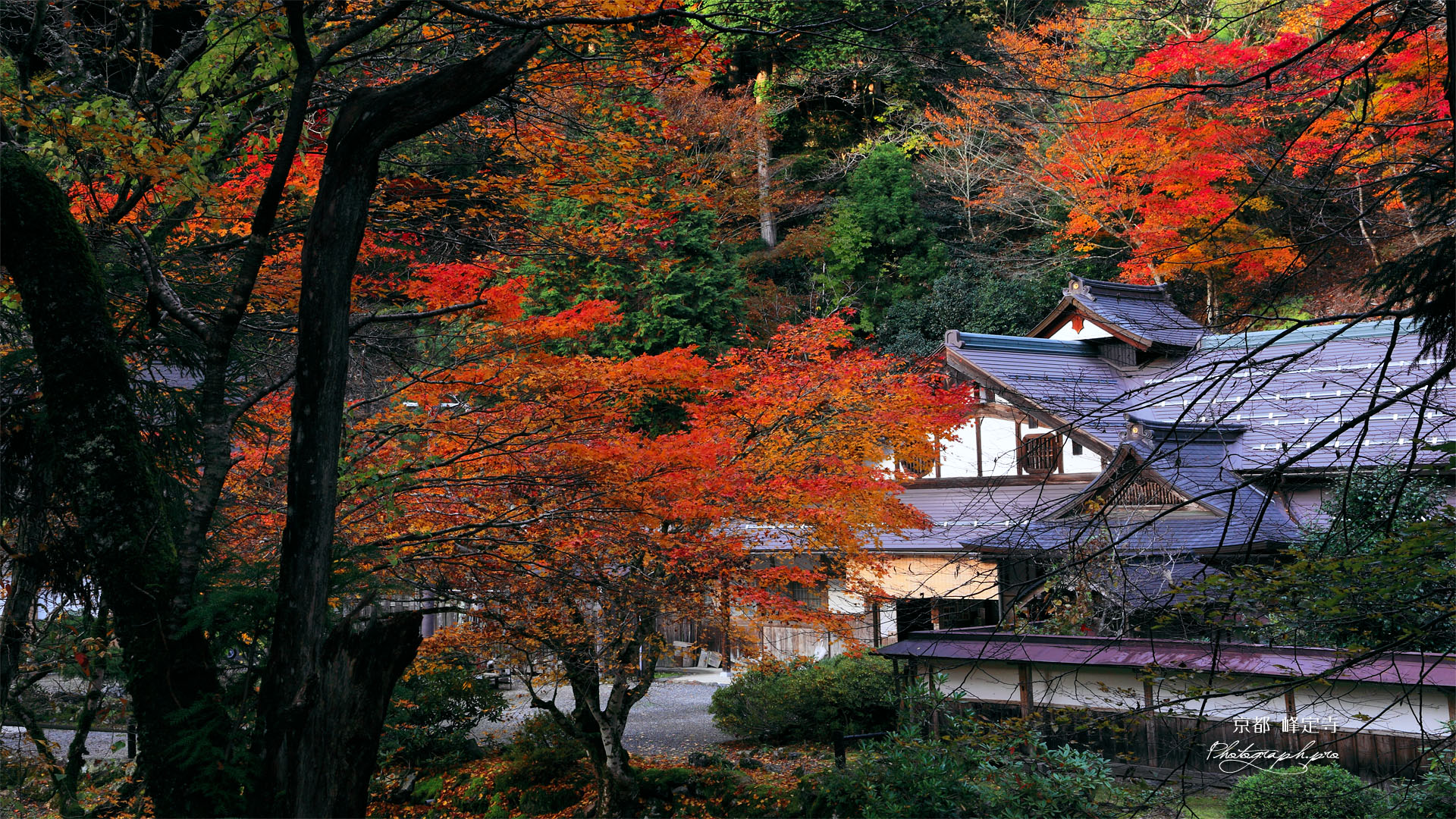 京都 紅葉の峰定寺本坊