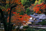 京都 紅葉の峰定寺本坊