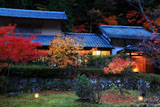 京都花脊 紅葉と美山荘山の棟