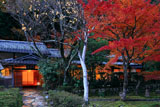 京都花脊 紅葉の美山荘母屋