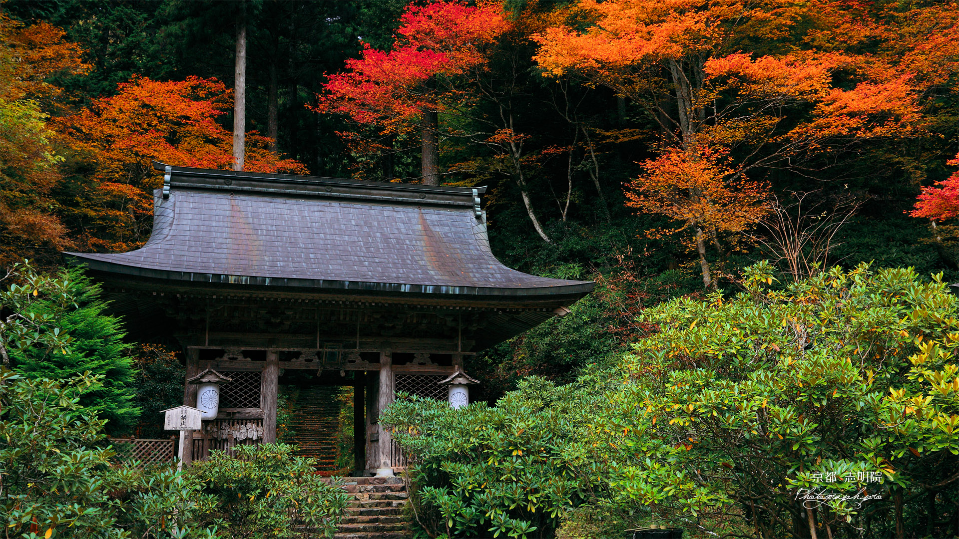 志明院 紅葉の仁王門