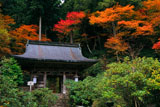 志明院 紅葉の仁王門