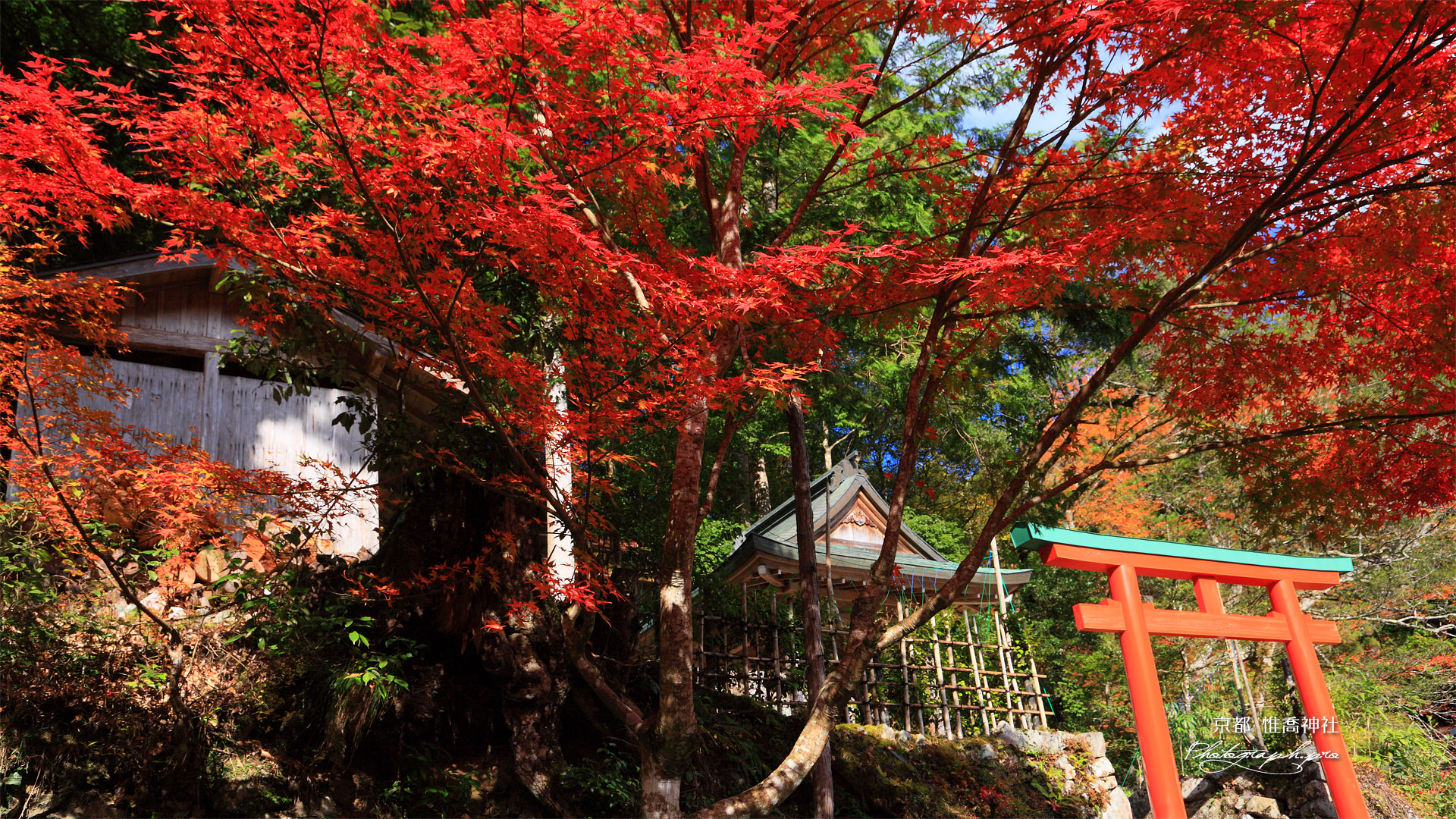 雲ケ畑 紅葉の惟喬神社