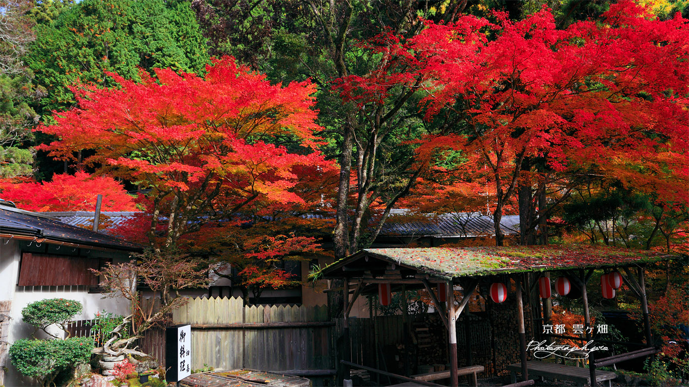 雲ケ畑 紅葉の畑嘉 壁紙