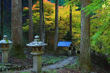 道風神社