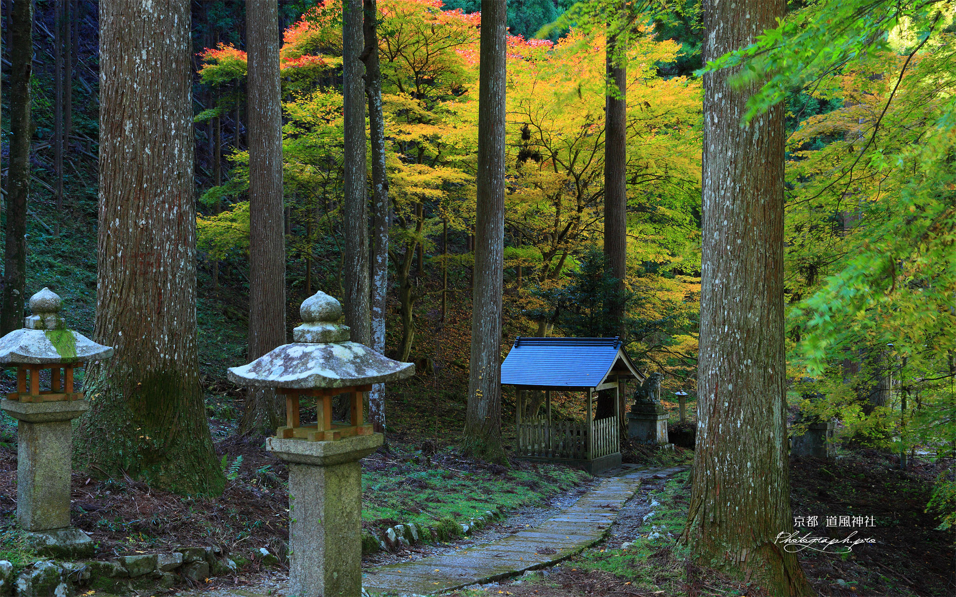 道風神社 和香水舎と紅葉