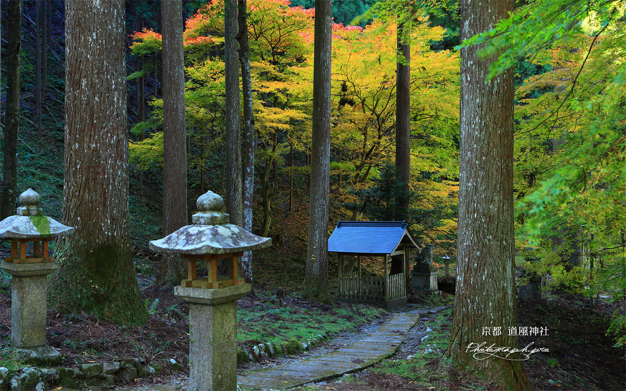 道風神社 和香水舎と紅葉 壁紙
