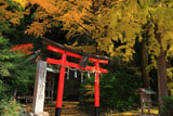 岩戸落葉神社 木漏れ日射す鳥居扁額