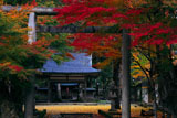 多治神社 紅葉の境内