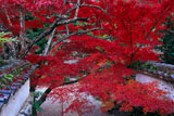 亀岡神蔵寺本堂前から紅葉越しの境内